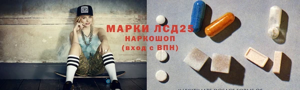 стаф Алзамай