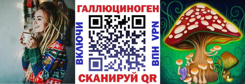 Галлюциногенные грибы Psilocybe  гидра tor  Бикин 